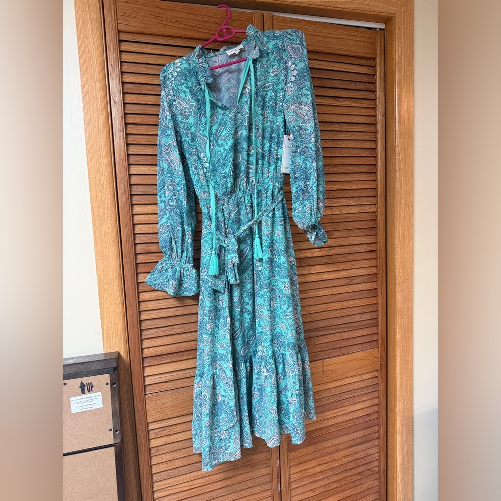 Red Dress Boutique Teal Paisley Long Sleeve Dress